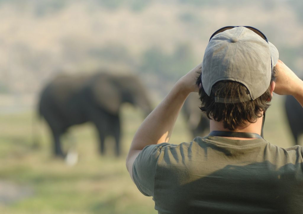 elephant-safari-guide