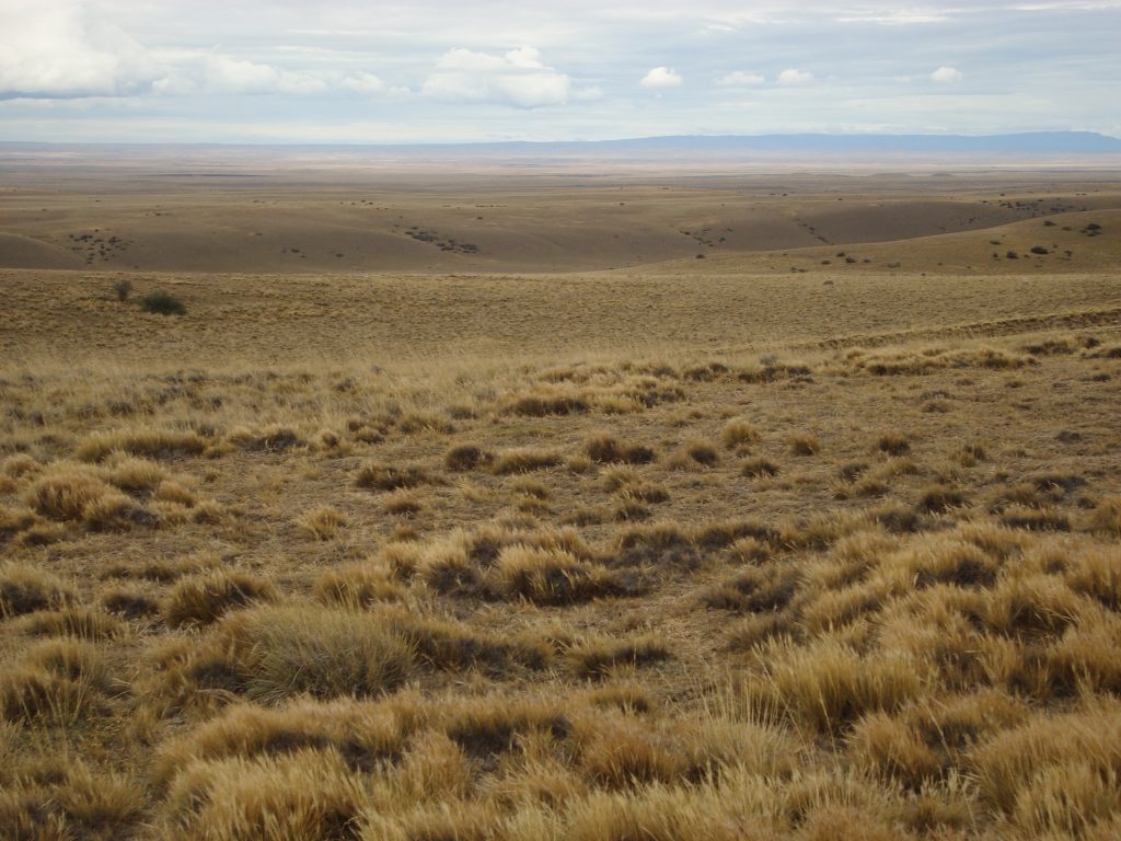 patagonian-desert